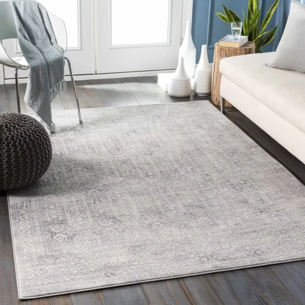 Minimalist Neutral Carpet